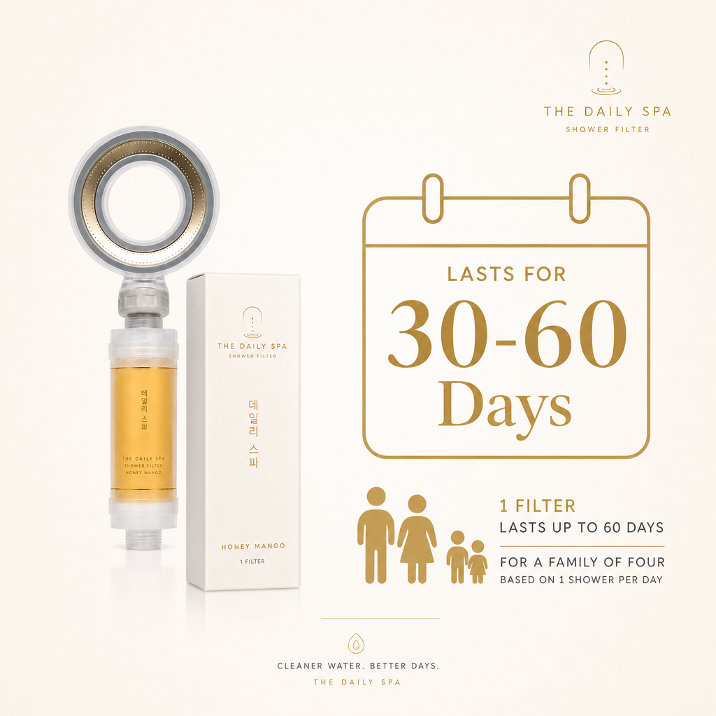 One filter lasts 30 to 60 days for a family of four